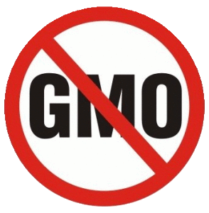 made-in-germany-rs-nogmo