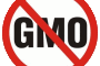 Nemci bi proizvode Sojaproteina bez GMO