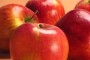 Plantaža u Nemačkoj ove godine imala dve berbe jabuka