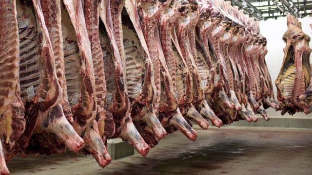 Slučaj afričke svinjske kuge stopirao izvoz nemačke svinjetine