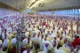 Nemci uništavaju 31.000 ćurki zbog virusa H5N8