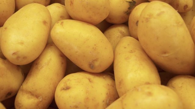 Srbija sve više uvozi nemački krompir