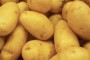 Krompir iz uvoza „preplavio“ Srbiju