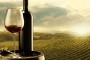Više od 300 srpskih vinarija dobra šansa za vinski turizam