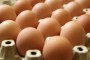 Aldi povlači jaja iz 4.000 prodavnica
