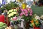 Nemačka je najveći uvoznik rezanog cveća u EU