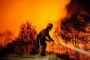Nemačka zbog požara proglasila prirodnu katastrofu