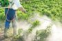 Ozloglašeni herbicid glifosat se u Srbiji koristi masovno!