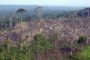 Nemačka stopira pomoć Brazilu zbog masovne seče šume
