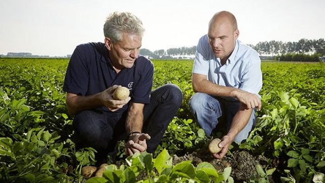 Nemački poljoprivrednici se okreću organskoj proizvodnji