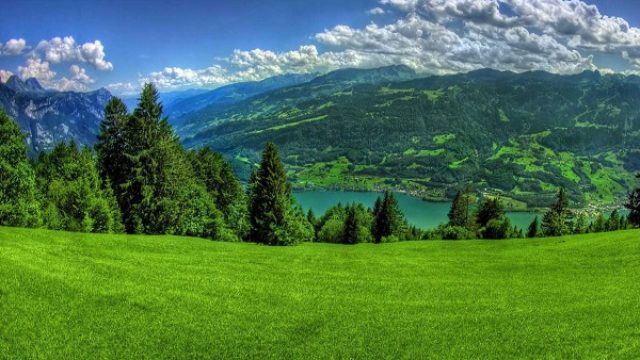 Osnovana banka semena Zlatiborskog okruga